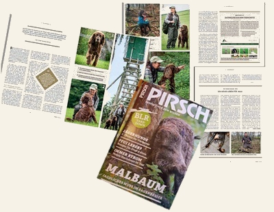 pirsch artikel1